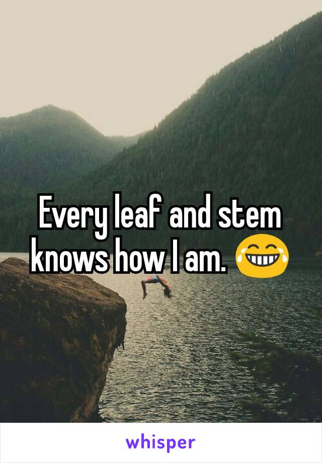 Every leaf and stem knows how I am. 😂