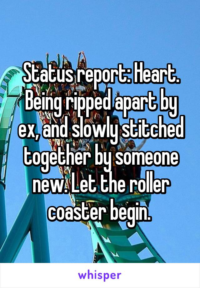 Status report: Heart.
Being ripped apart by ex, and slowly stitched together by someone new. Let the roller coaster begin. 