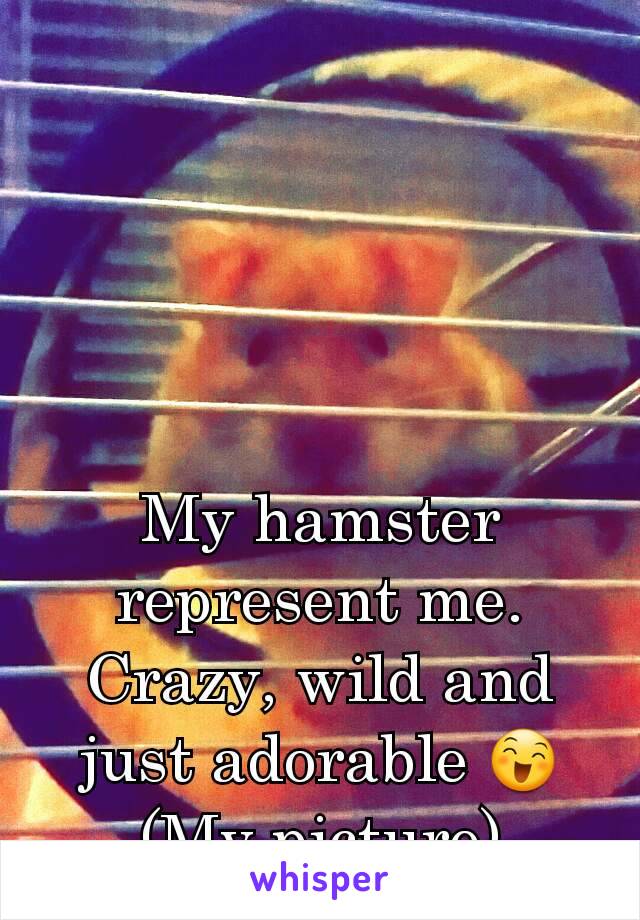 My hamster represent me. Crazy, wild and just adorable 😄
(My picture)