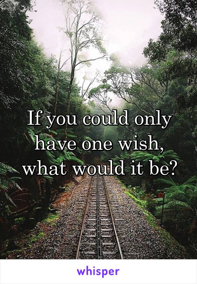 If you could only have one wish, what would it be?