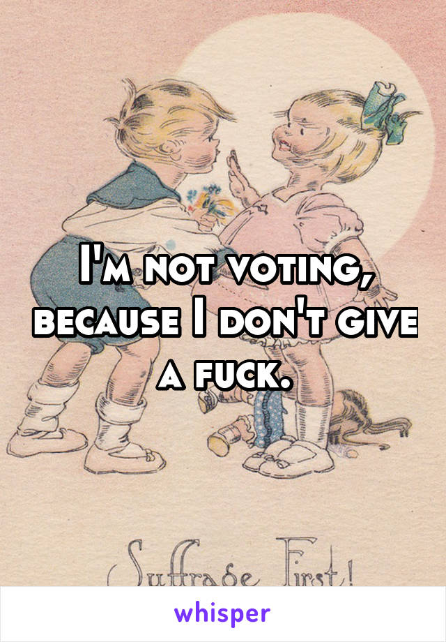 I'm not voting, because I don't give a fuck.