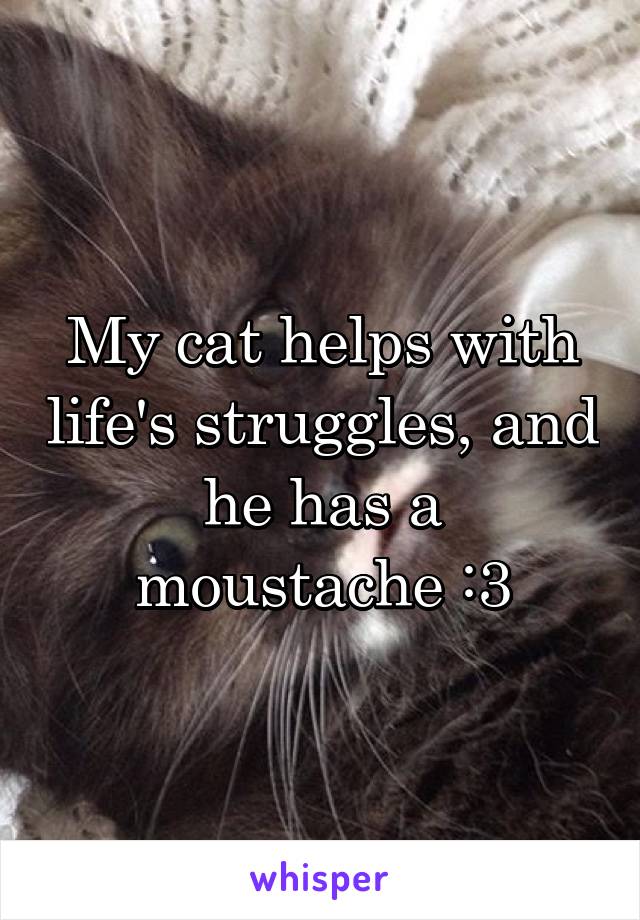 My cat helps with life's struggles, and he has a moustache :3