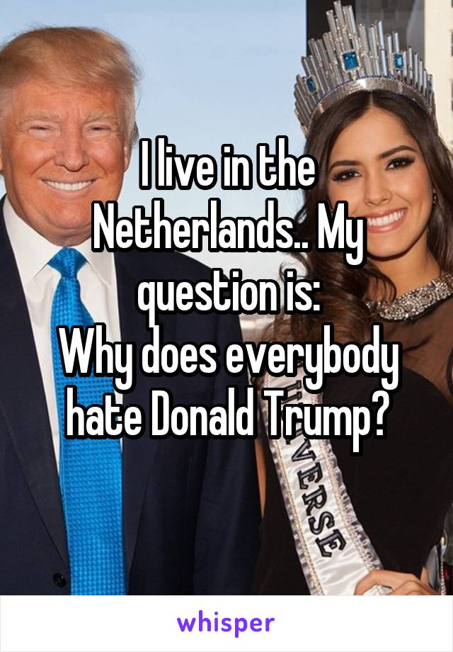 I live in the Netherlands.. My question is:
Why does everybody hate Donald Trump?
 