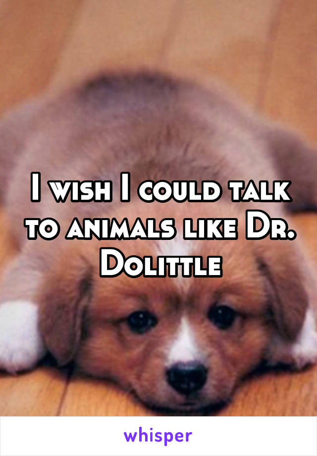 I wish I could talk to animals like Dr. Dolittle