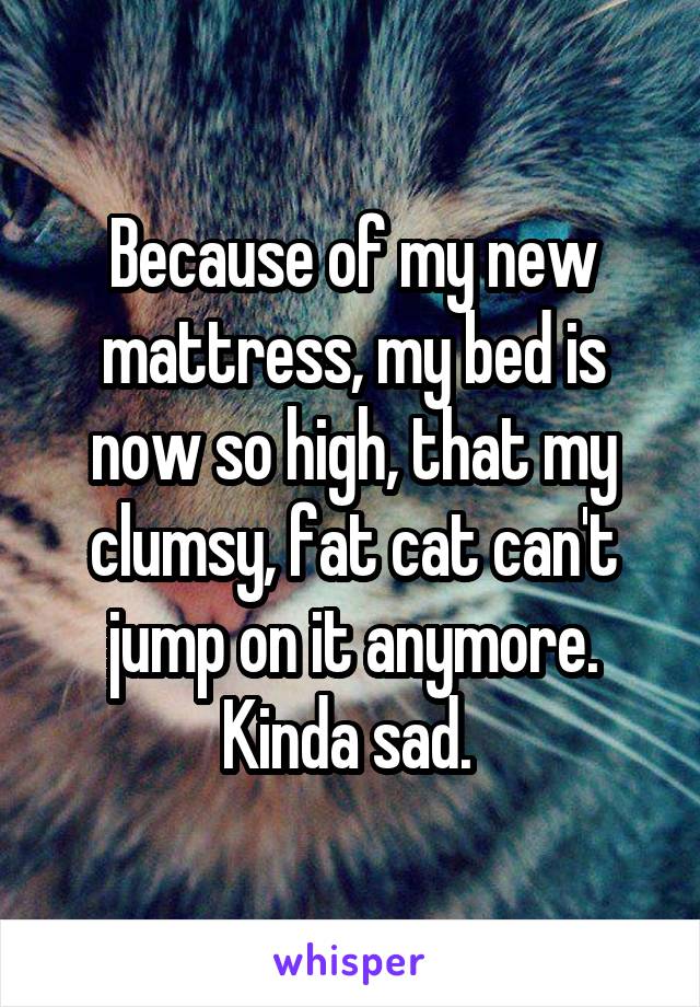 Because of my new mattress, my bed is now so high, that my clumsy, fat cat can't jump on it anymore. Kinda sad. 