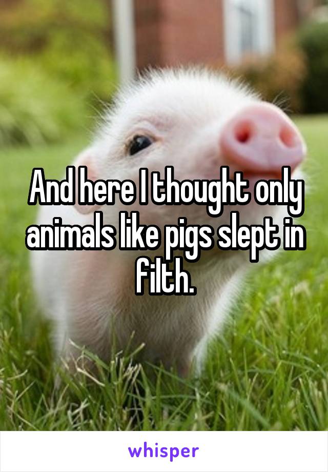 And here I thought only animals like pigs slept in filth.