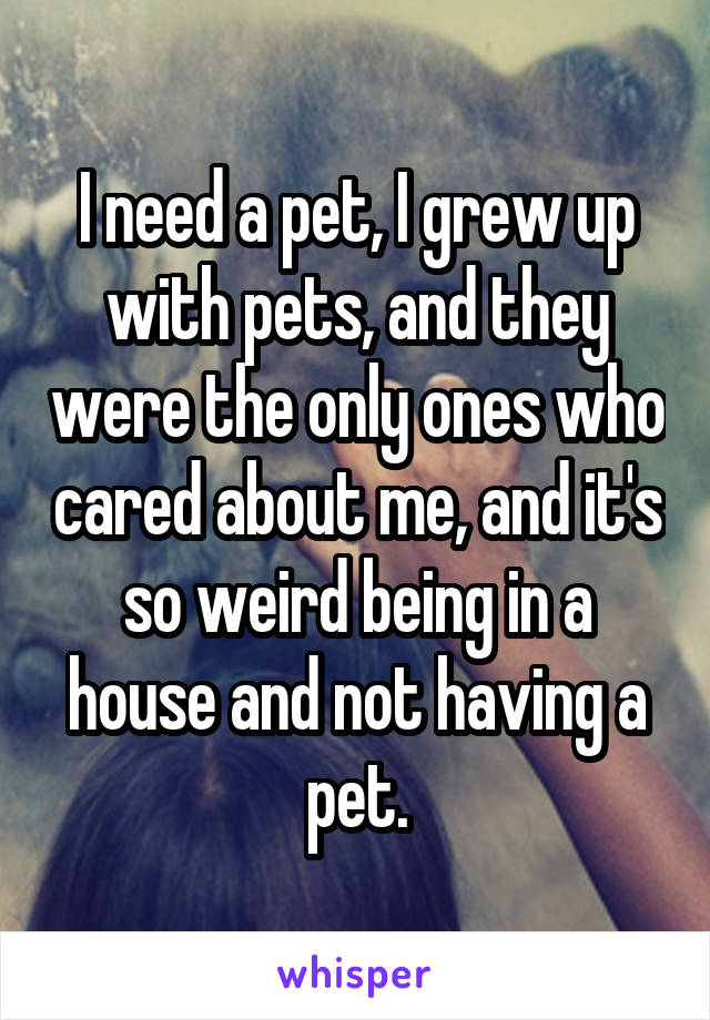 I need a pet, I grew up with pets, and they were the only ones who cared about me, and it's so weird being in a house and not having a pet.