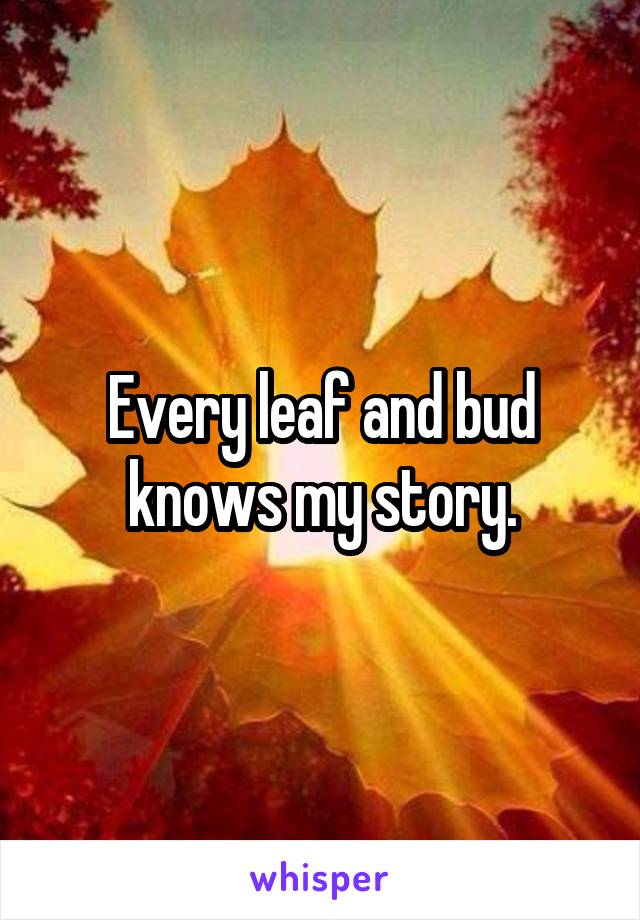 Every leaf and bud knows my story.