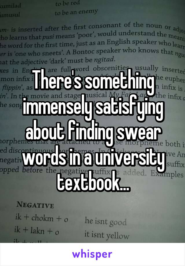 There's something immensely satisfying about finding swear words in a university textbook...