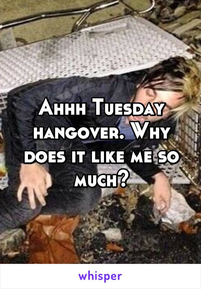 Ahhh Tuesday hangover. Why does it like me so much?