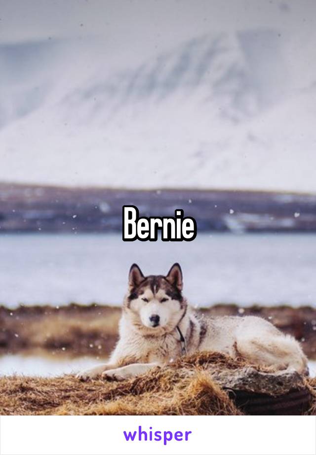 Bernie