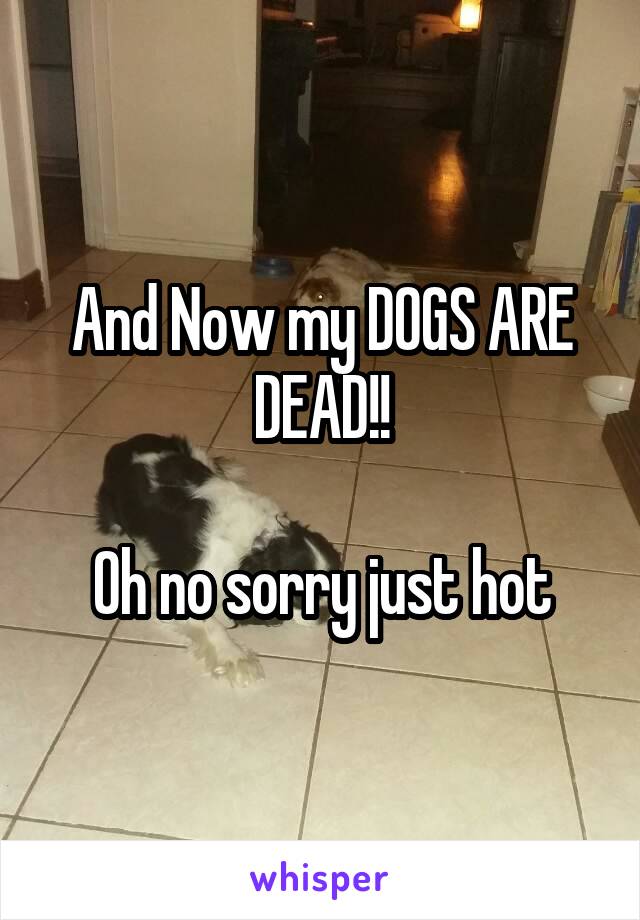 And Now my DOGS ARE DEAD!!

Oh no sorry just hot