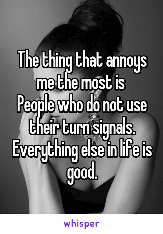 The thing that annoys me the most is 
People who do not use their turn signals. Everything else in life is good.