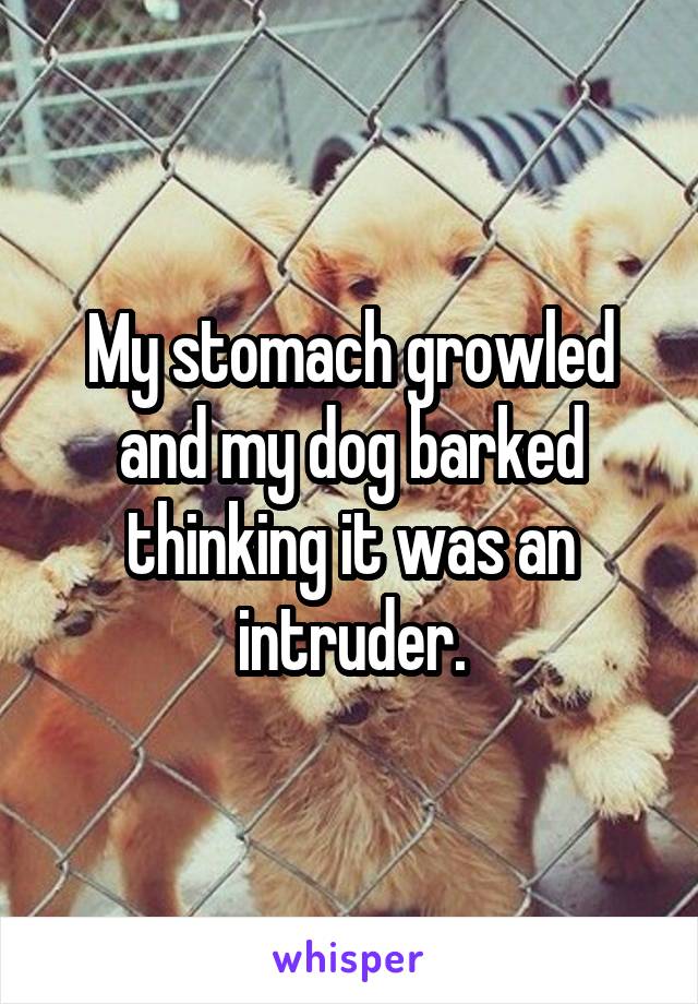 My stomach growled and my dog barked thinking it was an intruder.