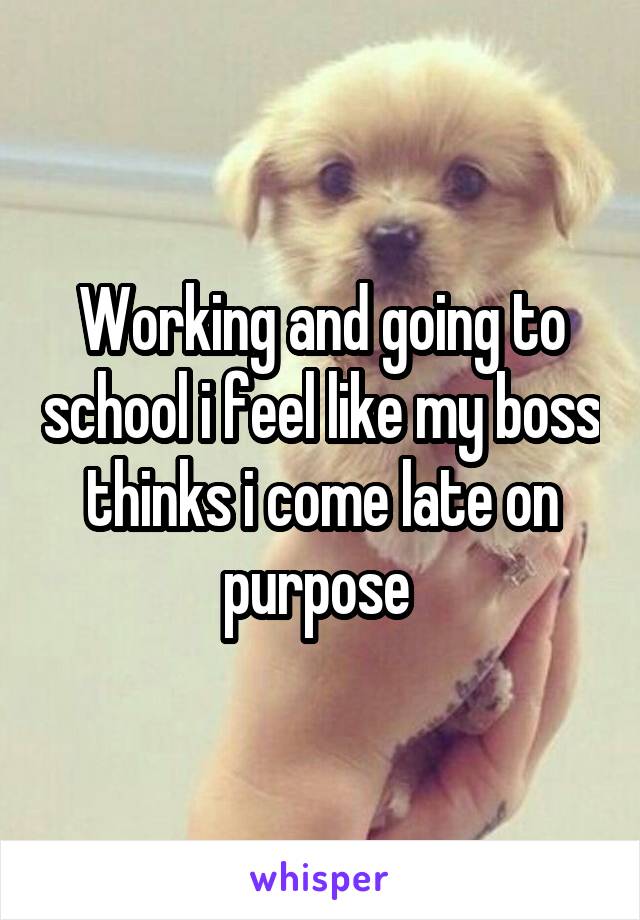 Working and going to school i feel like my boss thinks i come late on purpose 