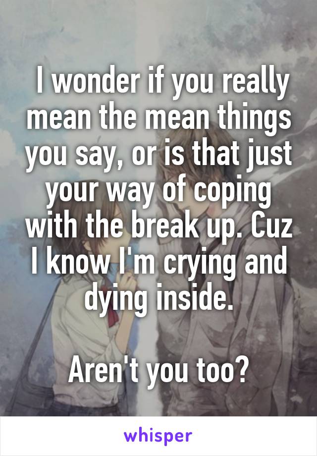  I wonder if you really mean the mean things you say, or is that just your way of coping with the break up. Cuz I know I'm crying and dying inside.

Aren't you too?