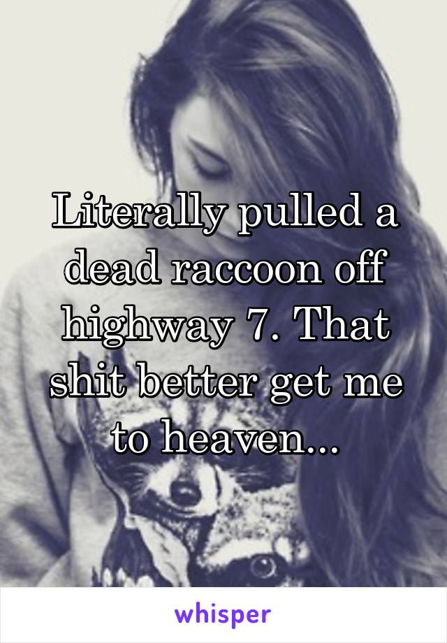 Literally pulled a dead raccoon off highway 7. That shit better get me to heaven...