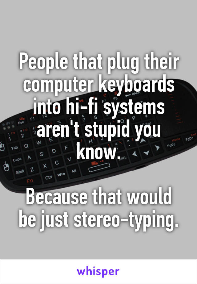 People that plug their computer keyboards into hi-fi systems aren't stupid you know.

Because that would be just stereo-typing.