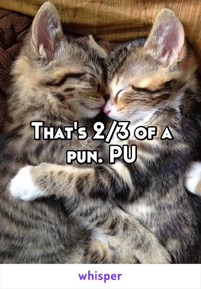 That's 2/3 of a pun. PU