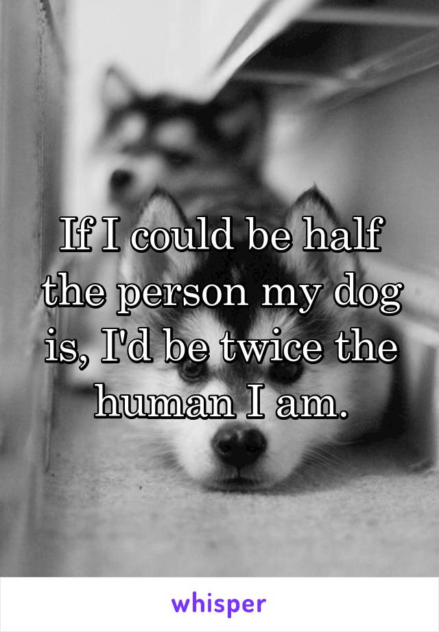 If I could be half the person my dog is, I'd be twice the human I am.