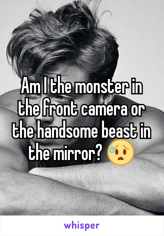 Am I the monster in the front camera or the handsome beast in the mirror? 😰