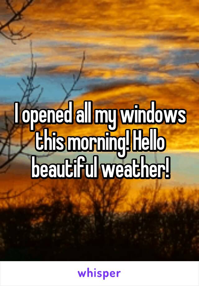 I opened all my windows this morning! Hello beautiful weather!