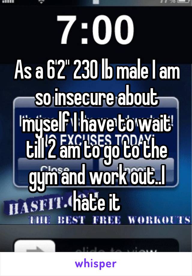 As a 6'2" 230 lb male I am so insecure about myself I have to wait till 2 am to go to the gym and work out..I hate it