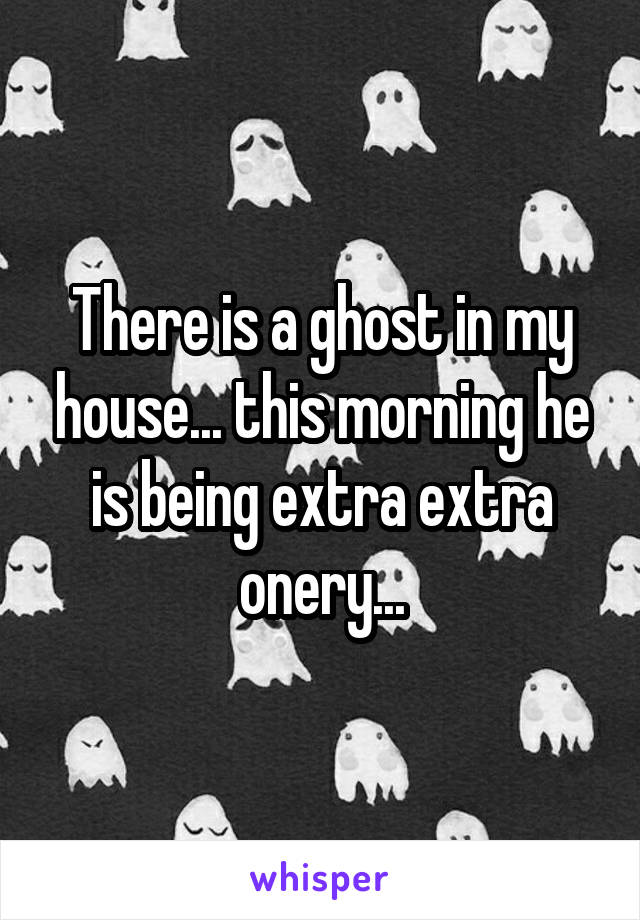 There is a ghost in my house... this morning he is being extra extra onery...