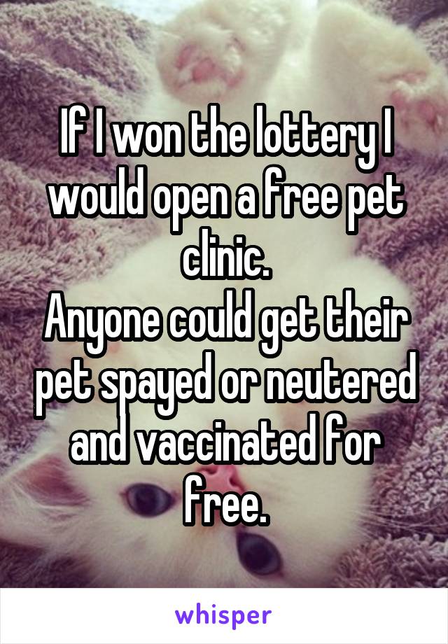 If I won the lottery I would open a free pet clinic.
Anyone could get their pet spayed or neutered and vaccinated for free.