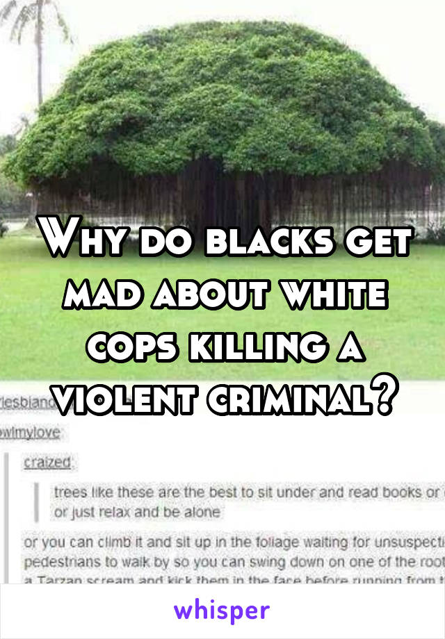 Why do blacks get mad about white cops killing a violent criminal?