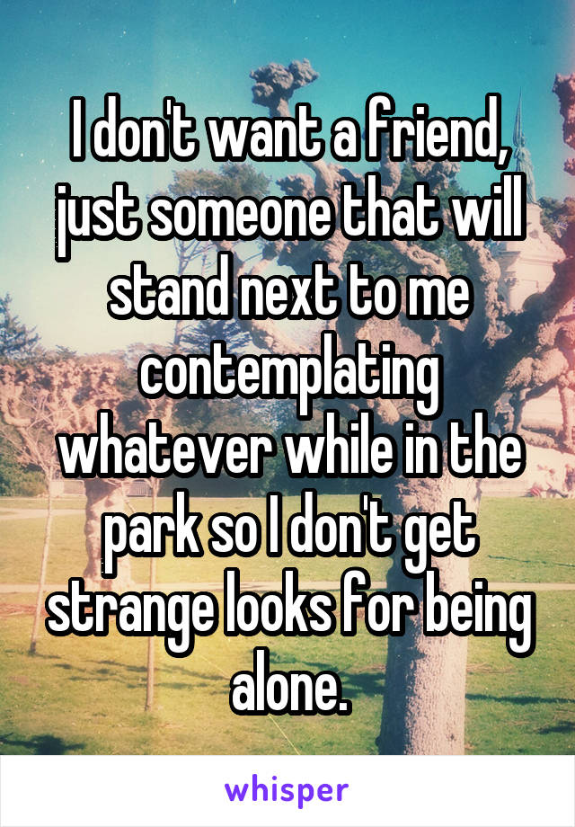 I don't want a friend, just someone that will stand next to me contemplating whatever while in the park so I don't get strange looks for being alone.