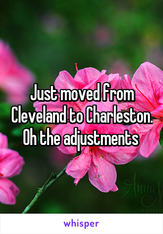 Just moved from Cleveland to Charleston. Oh the adjustments 