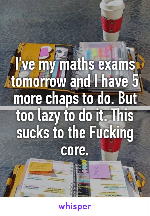 I've my maths exams tomorrow and I have 5 more chaps to do. But too lazy to do it. This sucks to the Fucking core.