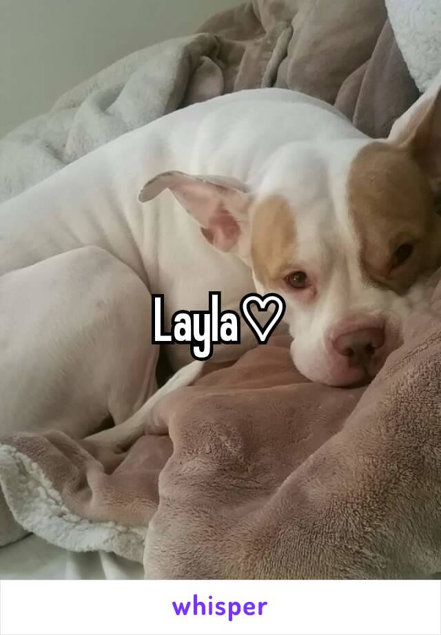 Layla♡