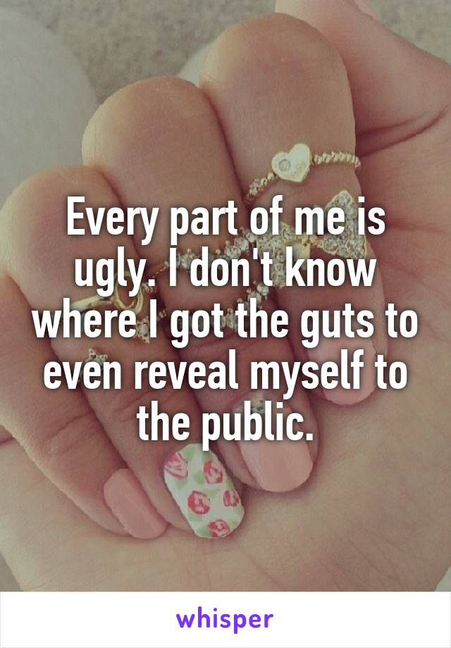 Every part of me is ugly. I don't know where I got the guts to even reveal myself to the public.