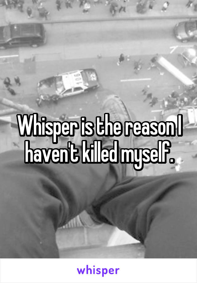 Whisper is the reason I haven't killed myself.