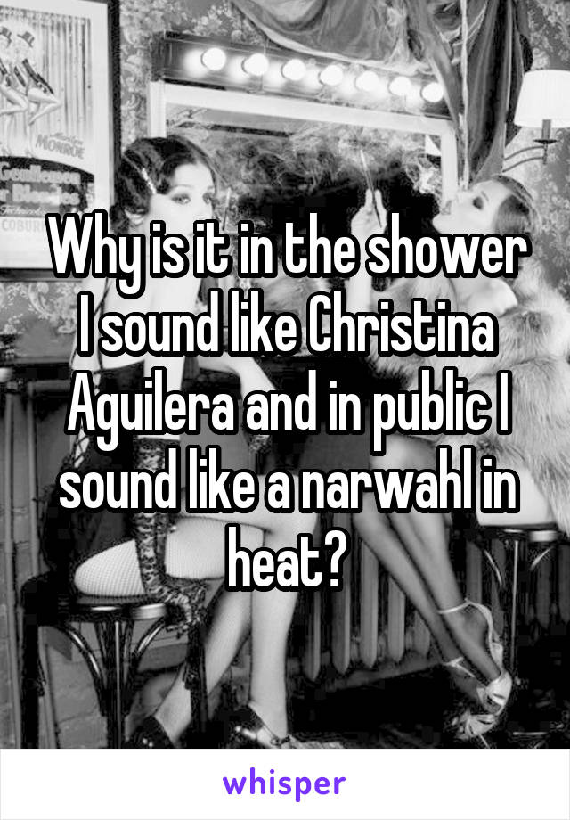 Why is it in the shower I sound like Christina Aguilera and in public I sound like a narwahl in heat?