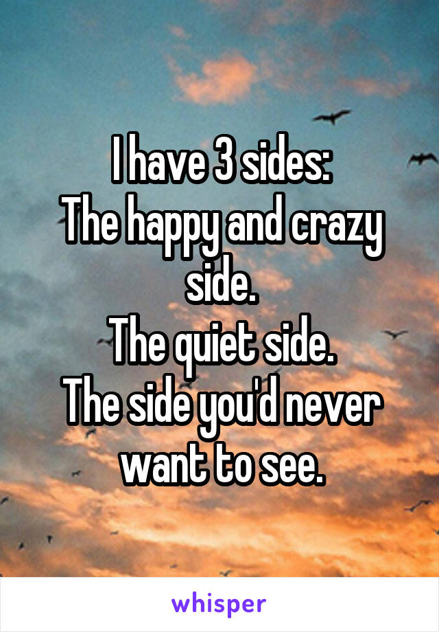 I have 3 sides:
The happy and crazy side.
The quiet side.
The side you'd never want to see.