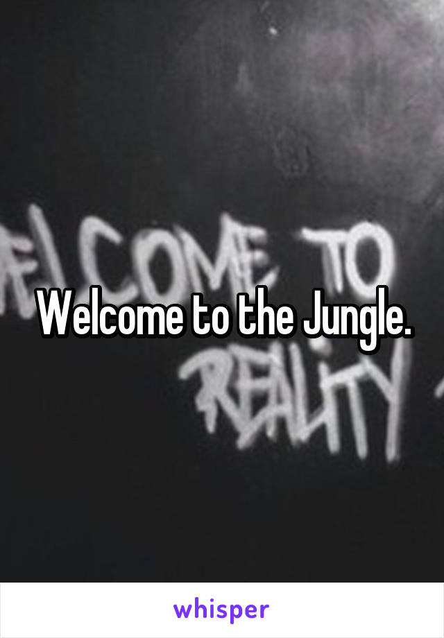 Welcome to the Jungle.