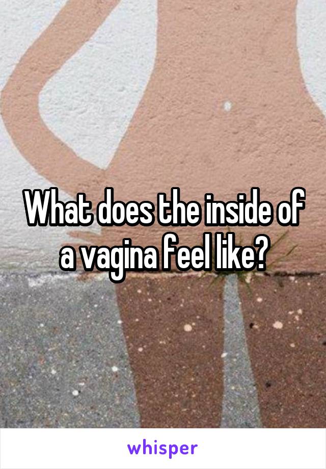 What does the inside of a vagina feel like?