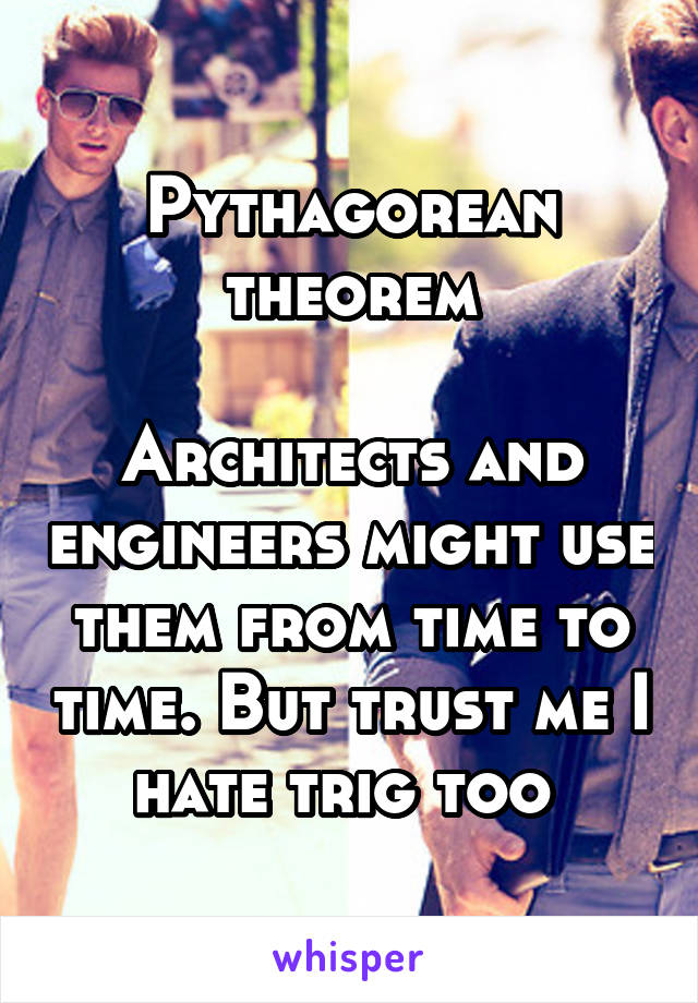 Pythagorean theorem

Architects and engineers might use them from time to time. But trust me I hate trig too 