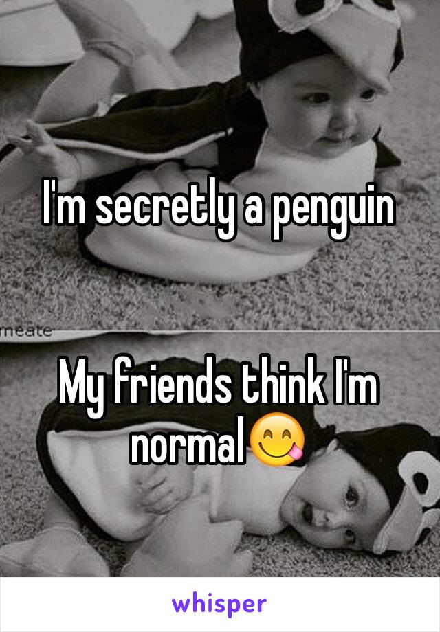 I'm secretly a penguin


My friends think I'm normal😋