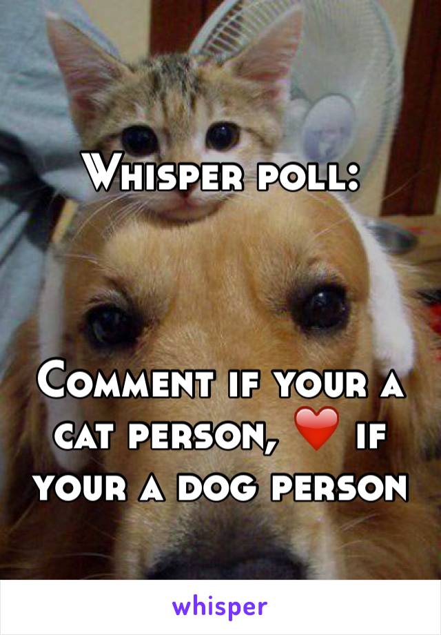 Whisper poll: 



Comment if your a cat person, ❤️ if your a dog person 