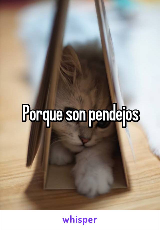 Porque son pendejos