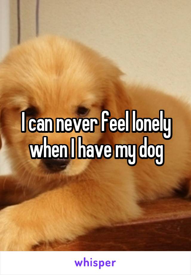 I can never feel lonely when I have my dog