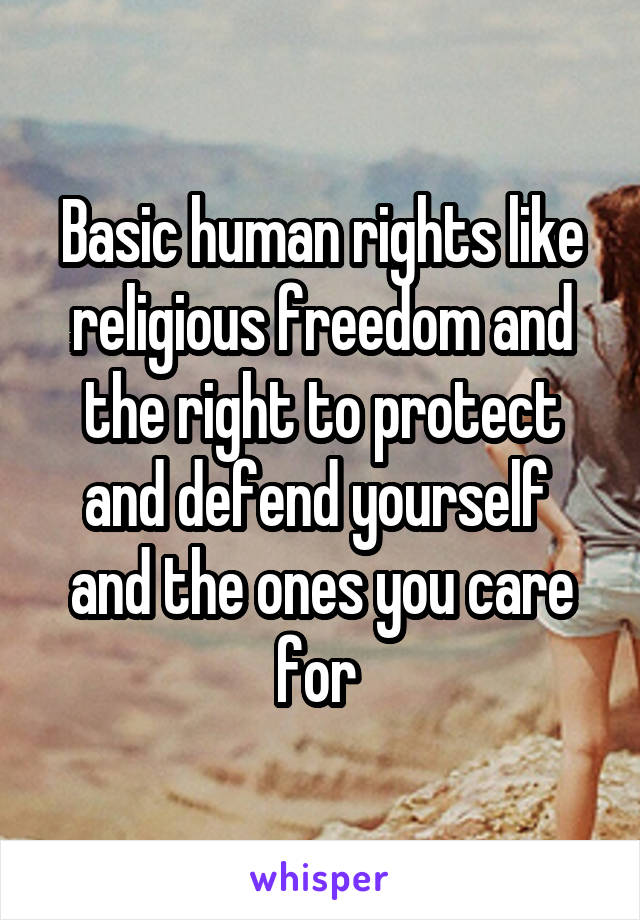 Basic human rights like religious freedom and the right to protect and defend yourself  and the ones you care for 