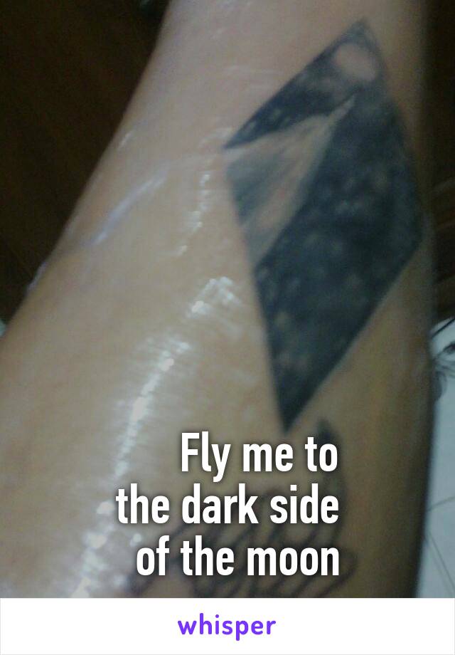 






      Fly me to
the dark side
  of the moon