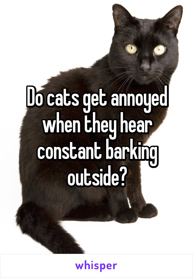 Do cats get annoyed when they hear constant barking outside?