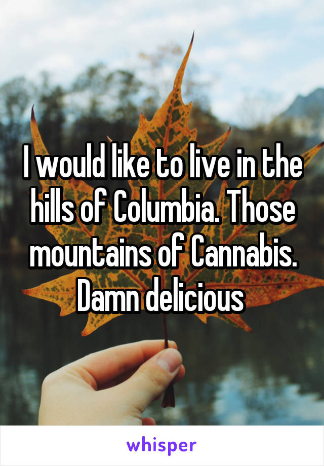 I would like to live in the hills of Columbia. Those mountains of Cannabis. Damn delicious 