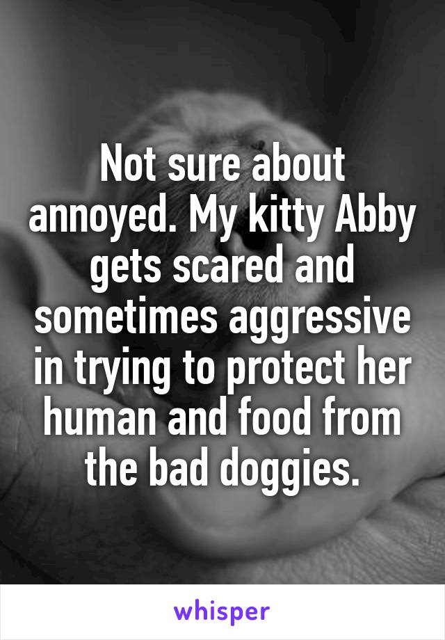 Not sure about annoyed. My kitty Abby gets scared and sometimes aggressive in trying to protect her human and food from the bad doggies.